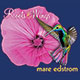 Mare Edstrom - Roots and Wings